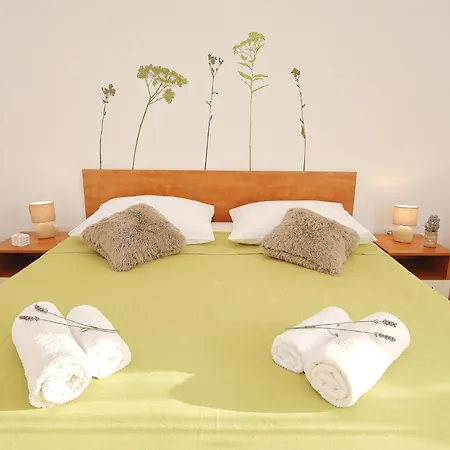 Apartmán Olive